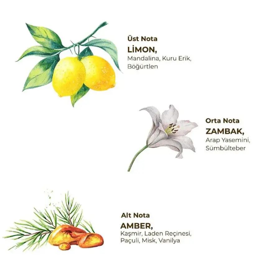 Eyüp Sabri Tuncer Limon Kolonyası Bidon 1 Litre